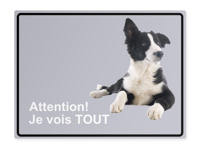 tierschild-quer-vorsicht-mir-entgeht-nichts