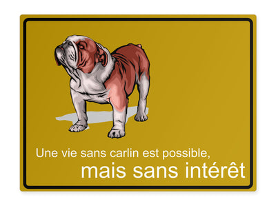 tierschild-quer-ein-leben-ohne-mops-ist-moeglich-aber-sinnlos