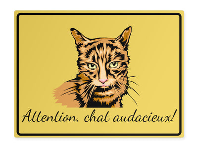 tierschild-quer-vorsicht-beherzte-katze