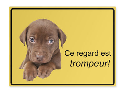 tierschild-quer-dieser-blick-taeuscht